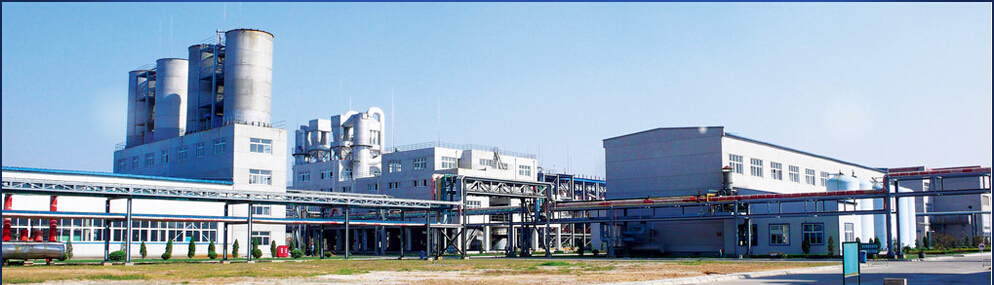 ���������a(ch��n)��